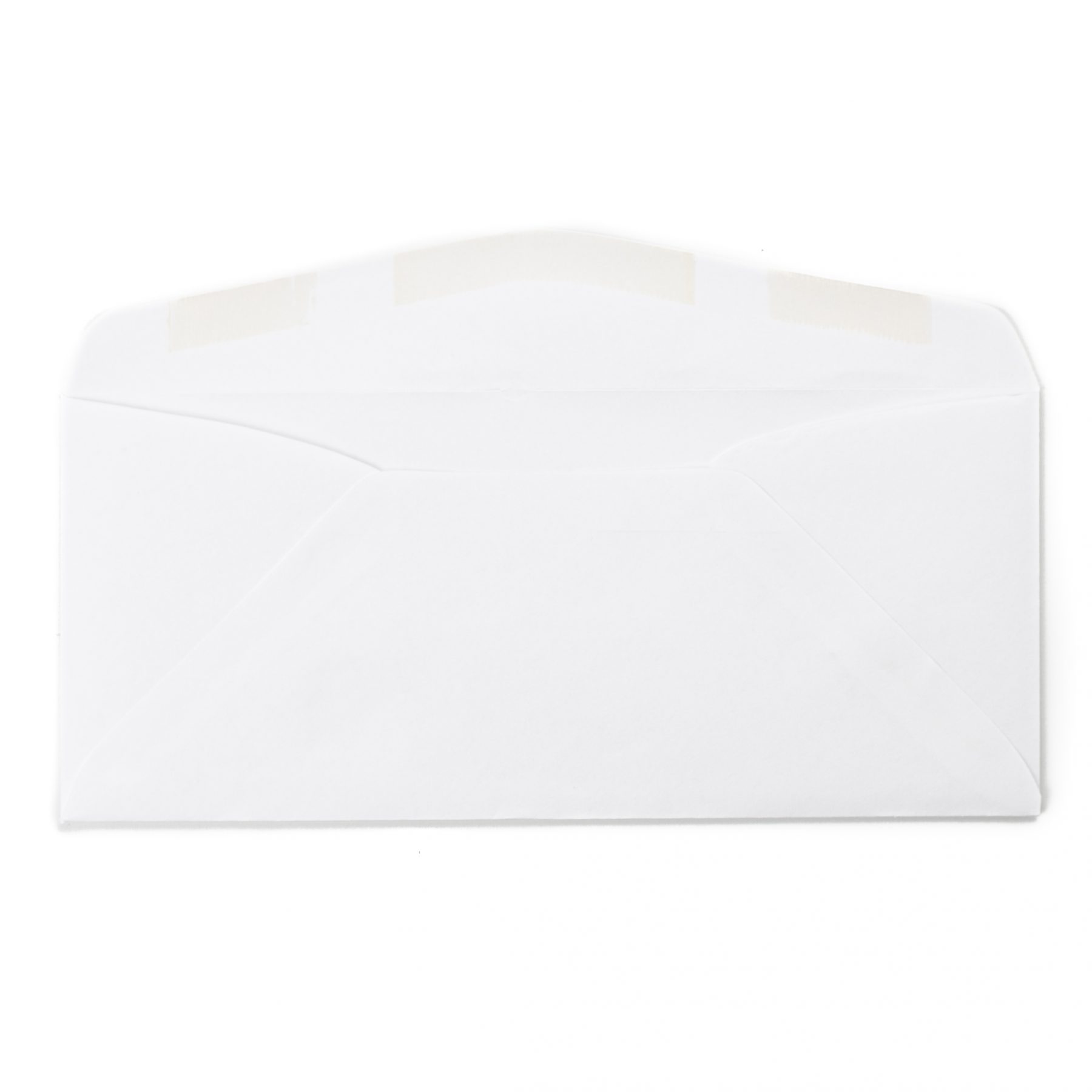 10 Window Mailing Envelope The Envelope Company