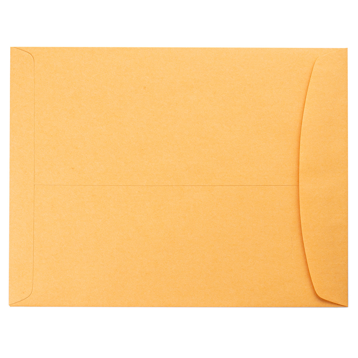 10 x 13 Catalog Envelope Brown Kraft - The Envelope Company