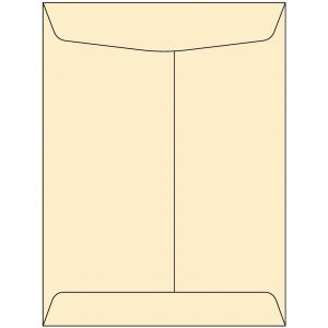 9 x 12 Catalog Envelope Buff Kraft image.